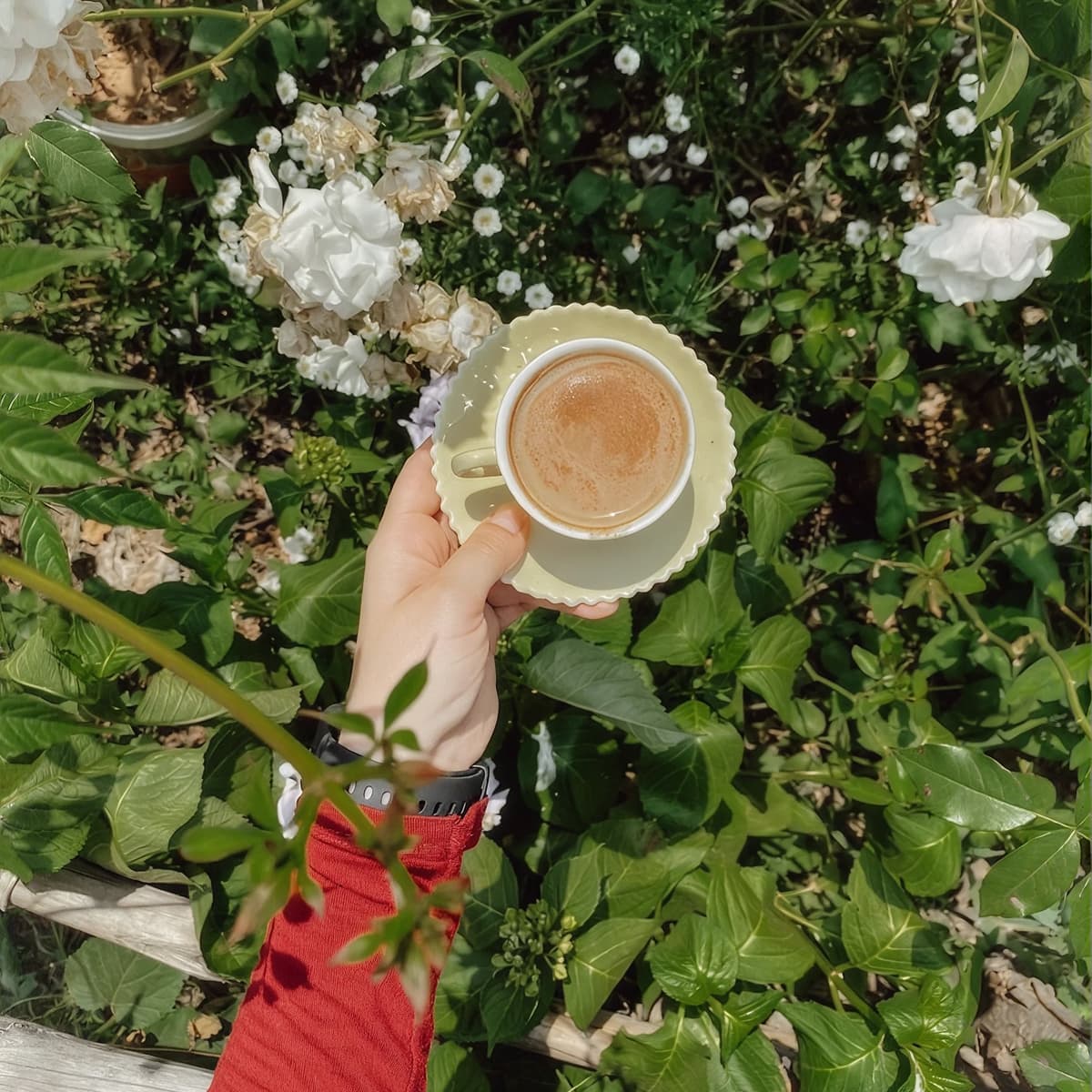 Lá Café